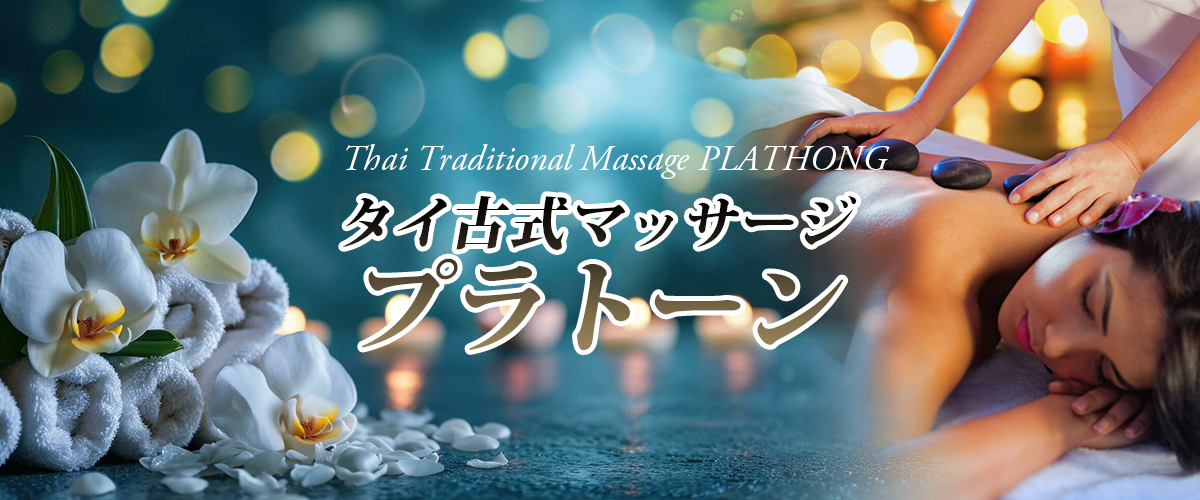 ��^�C�}�b�T�[�W �v���g�[��